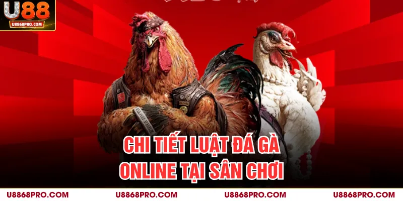 Chi tiết luật đá gà online tại sân chơi